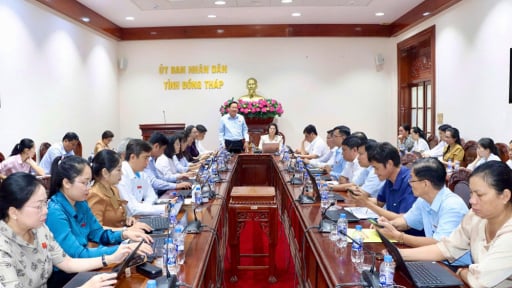 Hiến kế để đột ph&aacute; về đầu tư c&ocirc;ng, du lịch v&agrave; th&aacute;o gỡ n&uacute;t thắt bi&ecirc;n chế ở Đồng Th&aacute;p