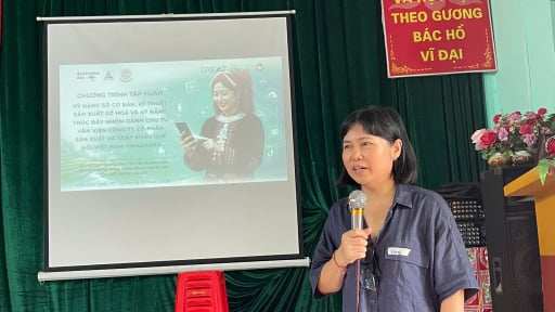 Bảo Thắng: N&acirc;ng cao năng lực quản l&yacute;, sản xuất quế hữu cơ cho c&aacute;c tổ hợp t&aacute;c