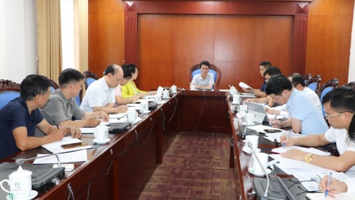 N&ocirc;ng th&ocirc;n T&acirc;y Bắc: Giữ rừng xanh, hơn 83.000 hộ d&acirc;n ở Lai Ch&acirc;u c&oacute; th&ecirc;m thu nhập ổn định
