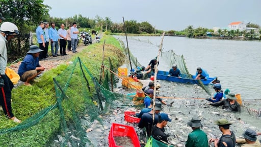 Định mức mới nhất hỗ trợ kinh ph&iacute; hoạt động cho khu phố, ấp, th&ocirc;n, khu d&acirc;n cư ở TPHCM (gồm BR-VT, B&igrave;nh Dương cũ)