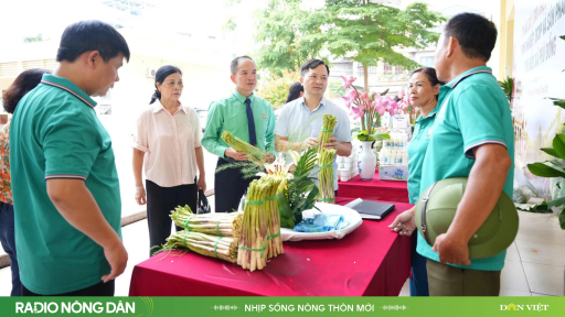 Nhịp sống n&ocirc;ng th&ocirc;n mới ng&agrave;y 13/7/2026