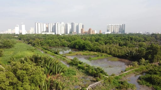 TP.HCM kiến nghị bổ sung 1.000ha quỹ đất ph&aacute;t triển nh&agrave; ở x&atilde; hội đến năm 2040