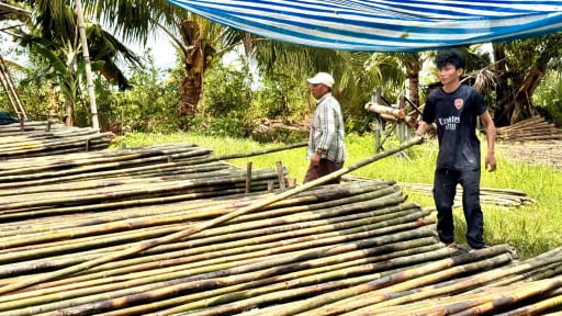 Độc lạ c&aacute;i &ldquo;chợ&rdquo; kh&ocirc;ng biển hiệu ở Bảy N&uacute;i, An Giang, chỉ b&aacute;n một mặt h&agrave;ng m&agrave; nu&ocirc;i sống h&agrave;ng trăm con người