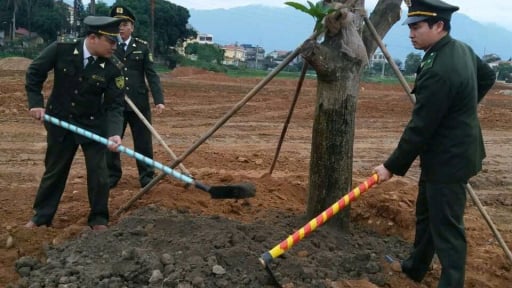 Th&aacute;i Nguy&ecirc;n lập 'c&uacute; đ&uacute;p' trong ph&aacute;t triển rừng: Trồng mới hơn 6.567ha, diện t&iacute;ch đạt chứng chỉ bền vững vượt kế hoạch