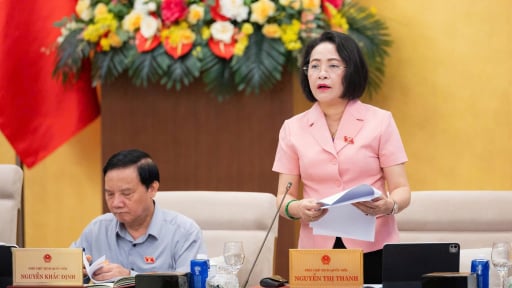 Ph&oacute; Chủ tịch Quốc hội đề nghị tăng chế t&agrave;i với h&agrave;nh vi lừa đảo người lao động đi l&agrave;m việc ở nước ngo&agrave;i
