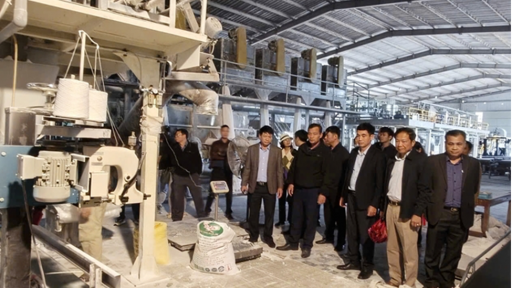 Từ 'củ ăn chống đ&oacute;i' đến chuỗi gi&aacute; trị to&agrave;n cầu: H&agrave;nh tr&igrave;nh t&aacute;i định vị c&acirc;y sắn