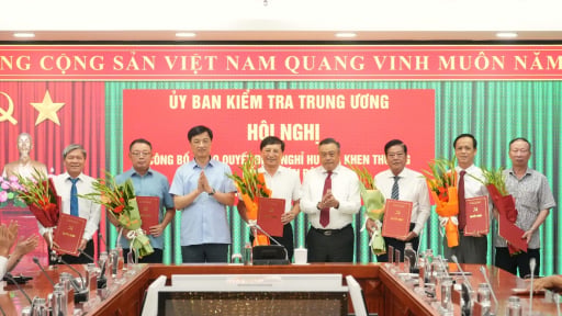 C&aacute;c Ph&oacute; Chủ nhiệm v&agrave; c&aacute;c Ủy vi&ecirc;n Ủy ban Kiểm tra Trung ương kh&oacute;a XIII nghỉ hưu, nghỉ hưu trước tuổi