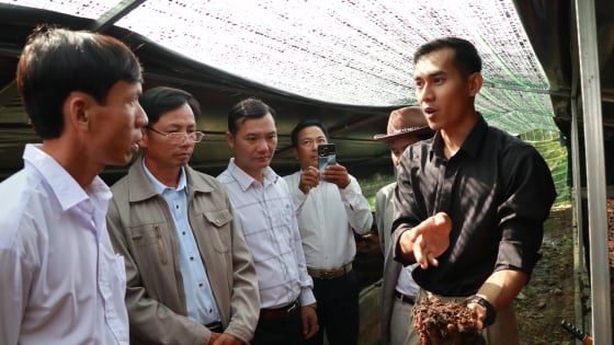 9X Lâm Đồng nuôi trùn quế, giảm phát thải nhà kính lại có thu nhập cao