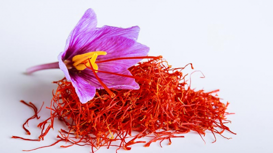 Cách chữa mất ngủ bằng nhuỵ hoa nghệ tây cho hiệu quả tốt nhất