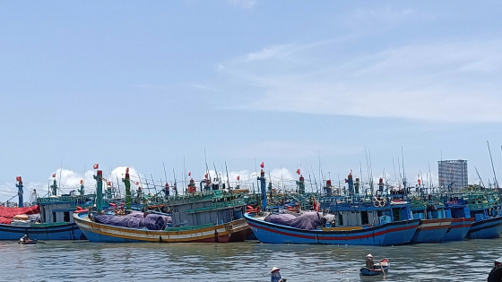 Công an tỉnh Bà Rịa - Vũng Tàu khởi tố 3 vụ án liên quan đến khai thác thủy sản bất hợp pháp