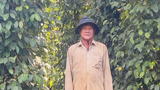 Thêm một tỷ phú Bà Rịa-Vũng Tàu là một ông nông dân 'trồng một loại cây, nuôi 2 loại con', doanh thu tiền tỷ/năm.