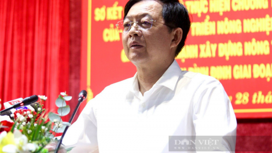 Bí thư Bình Định: 'Chọn trụ sở phải gần dân, thuận tiện giải quyết công việc, không phải vì to hơn'