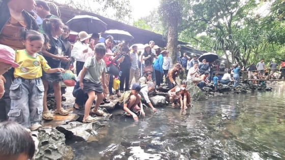 Quên biển chen chúc đi, lên suối cá thần khổng lồ này ở Thanh Hóa xem lạ mắt, lại ăn ngon