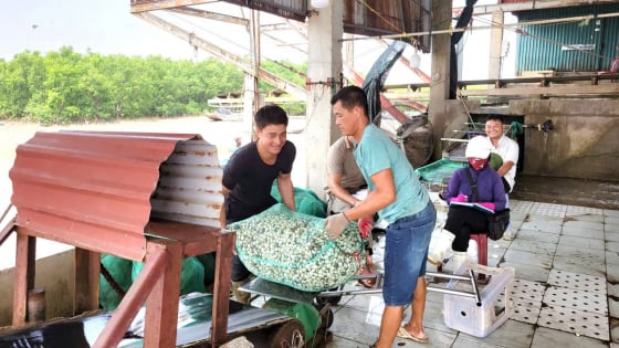 Ngay bây giờ, Ninh Bình nuôi cả tôm càng xanh, chạch sụn, trai lấy ngọc...đa dạng hóa 'giỏ' con đặc sản