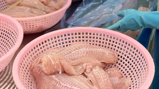 Lần đầu tiên, Lào bán được loài cá Việt Nam nuôi rất nhiều sang Trung Quốc