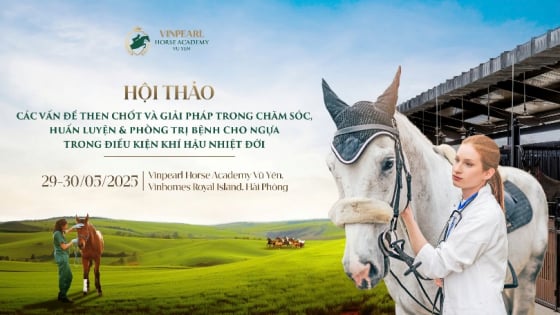 Học viện Cưỡi Ngựa Vinpearl Vũ Yên tổ chức Hội thảo chuyên sâu hàng đầu về ngựa