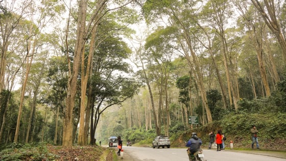Rừng núi, thác ghềnh, suông suối phía Tây Nghệ An có gì hấp dẫn khiến người ta tò mò, xốn xang?