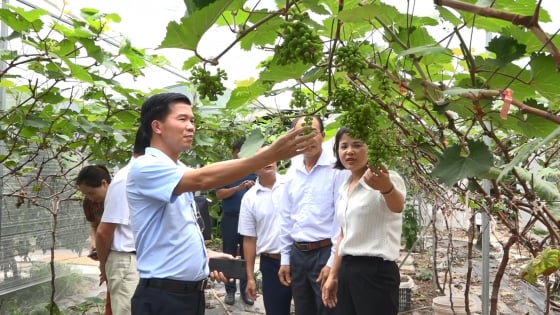 Hội Nông dân TP.Hà Nội nâng cao kỹ năng giám sát, phản biện xã hội cho đội ngũ cán bộ Hội