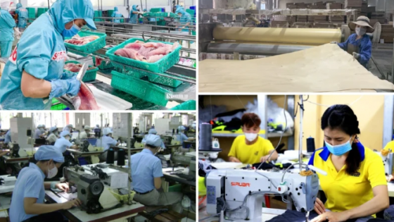 Có cơ chế miễn trừ trách nhiệm trong trường hợp cán bộ không tư lợi nhưng có thiệt hại do rủi ro khách quan