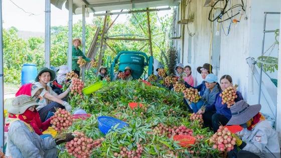 Báo Nông thôn Ngày nay là kênh thông tin hữu ích, người bạn của nông dân, bạn đọc khắp nơi