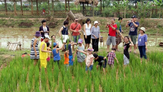 Hà Nội đề xuất sử dụng một phần đất nông nghiệp làm du lịch và giáo dục trải nghiệm