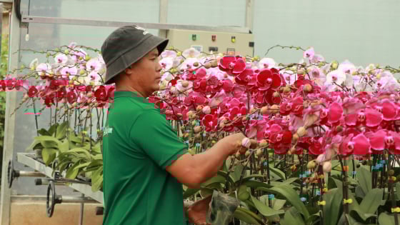 Giảm nghèo trở thành “phong trào” giúp huyện nông thôn mới đầu tiên của tỉnh Lâm Đồng không còn hộ nghèo