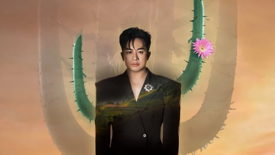 Ca sĩ Tùng Dương liều lĩnh?