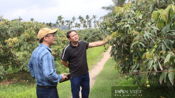 Ông Chủ tịch Hội Nông dân phường Phương Nam ở Quảng Ninh tận tâm công tác, hội viên đang khá giả lên