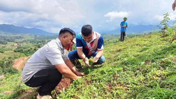 Làm giàu những cánh rừng, người dân một huyện của tỉnh Điện Biên được nhận tiền dịch vụ chi trả môi trường rừng