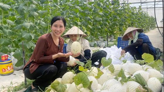 Hội Nông dân Bắc Giang tư vấn để nông dân, HTX, doanh nghiệp làm đúng 5 yếu tố, 3 nguyên tắc cho sản phẩm OCOP