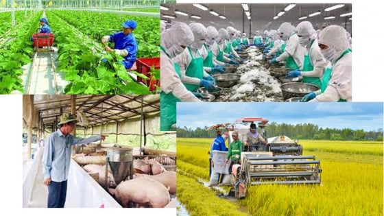 Thủ tướng có chỉ đạo mới nhất về ứng phó với thay đổi thuế quan của một số quốc gia, xử lý nghiêm gian lận xuất xứ, lợi dụng ép giá
