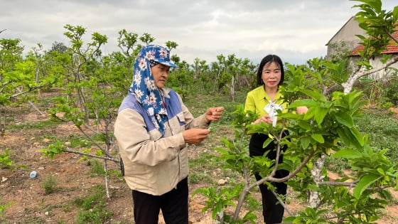 Nữ Chủ tịch Hội Nông dân năng động, hết lòng vì đồng ruộng Tiền An
