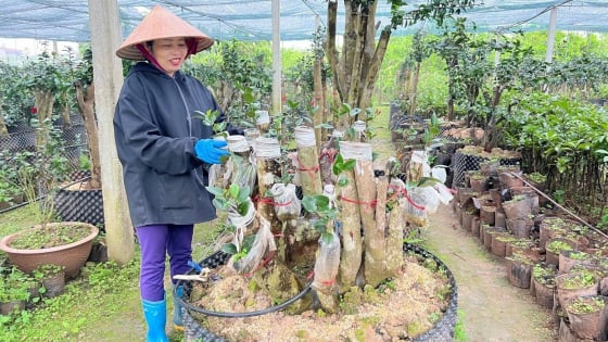 Giảm nghèo ở Hà Nam: 'Cú hích' từ chính sách tín dụng ưu đãi