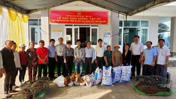 Quỹ Hỗ trợ nông dân Bà Rịa-Vũng Tàu giúp dân nuôi dê, nuôi ong dú, hễ có vốn là tăng đàn