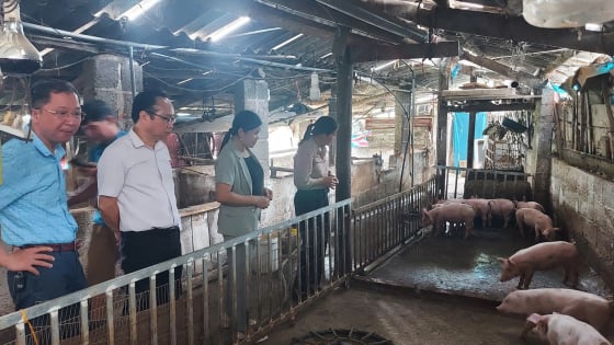 Cao Bằng: 'Bí quyết' xây dựng, phát triển, sử dụng Quỹ Hỗ trợ nông dân