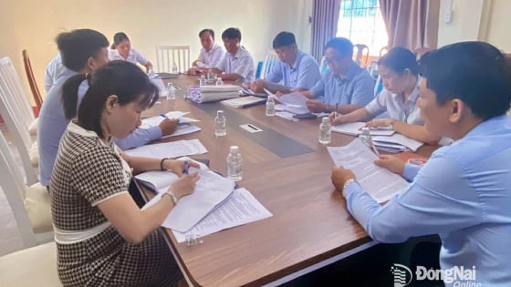 Ủy ban Kiểm tra Tỉnh ủy Đồng Nai đang kiểm tra dấu hiệu vi phạm đối với 3 tổ chức đảng và các đảng viên liên quan