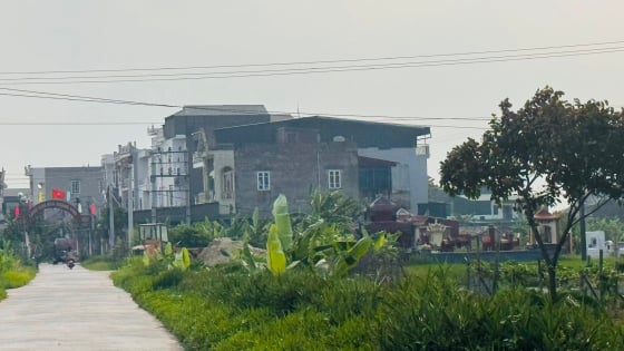  UBND tỉnh Hải Dương phân công thực hiện một dự án kết nối với Hải Phòng, Sở Nông nghiệp và Môi trường có nhiệm vụ gì?
