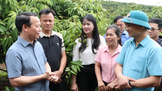 Kiểm tra vùng trồng vải thiều ở Bắc Giang, Bộ trưởng Đỗ Đức Duy gợi mở cách để xuất khẩu giá trị cao, một doanh nghiệp 'chốt đơn' 500 tấn vải