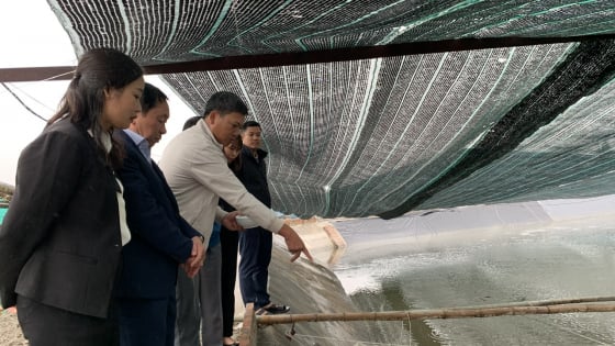 3 tỷ phú Nam Định ở một huyện, là Nông dân Việt Nam xuất sắc, hộ nuôi yến, nuôi ốc hương, hộ trồng nấm