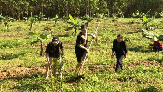 Câu lạc bộ “Phụ nữ dân tộc Cor” ở một xã của Quảng Nam ở làng Suối Dưa cùng nhau 'tiễn nghèo đón khá giả'