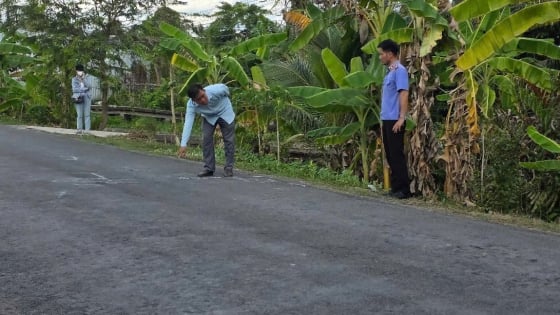 Vụ tai nạn giao thông khiến nữ sinh tử vong ở Vĩnh Long: Công an rà soát lại toàn bộ quá trình xử lý 