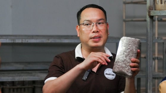 Anh nông dân tỷ phú Phú Thọ làm trang trại nấm hữu cơ chục tỷ, biến phụ phẩm lâm nghiệp thành “vàng đất” 