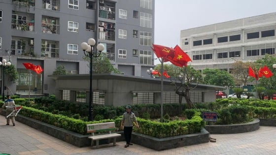 Nuôi chó mèo phóng uế bừa bãi: Nỗi ám ảnh của cư dân chung cư