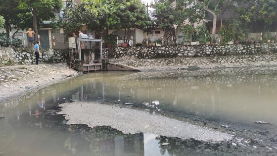 “Ngạt thở” vì hồ Nguyễn Chính ô nhiễm giữa lòng Thủ đô