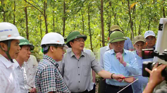 Bình Định muốn xây sân golf trên núi Vũng Chua: 'Vừa chơi golf, vừa ngắm biển'