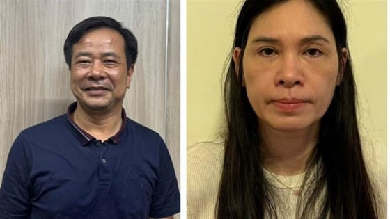 Bộ Công an khởi tố, bắt Chủ tịch - Tổng Giám đốc Công ty Hoàng Long và vợ cùng thuộc cấp