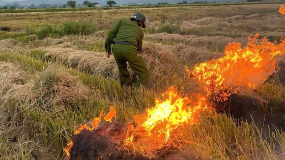 Huế: “Kích hoạt” đường dây nóng và ứng dụng Hue-S xử lý nhanh tình trạng đốt rơm rạ