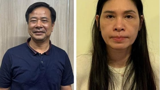 Vợ chồng Chủ tịch Công ty Hoàng Long bị khởi tố: Nếu sai phạm về kế toán gây hậu quả nghiêm trọng sẽ bị xử lý ra sao?