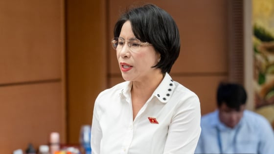 Đại biểu Quốc hội: Cầu thủ Nguyễn Xuân Son giúp ĐT Việt Nam vô địch AFF Cup nhưng nhập tịch khó khăn