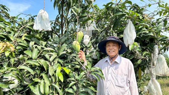 Nông dân Đà Nẵng phấn khởi với dự thảo sửa đổi Hiến pháp năm 2013